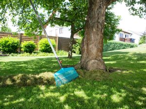 Combisystem-Rechenbesen 43 cm breit Kunststoff – Gardena bei vibequelle